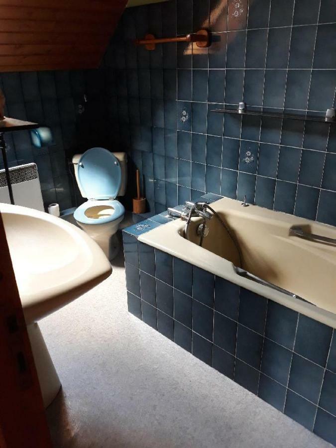 Gite Les Brulis Châtillon-sur-Loire Zewnętrze zdjęcie